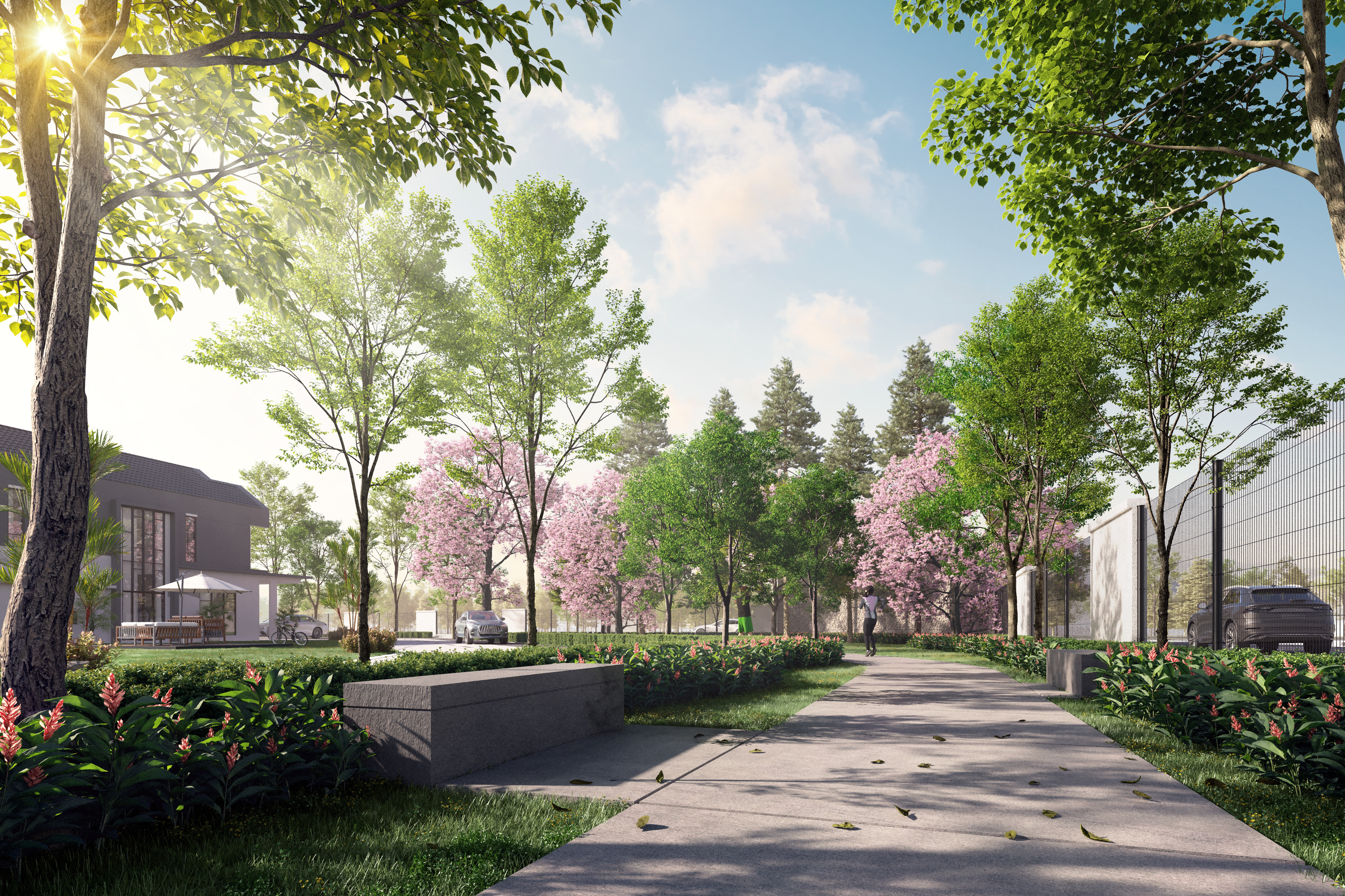 Central Park Amenities